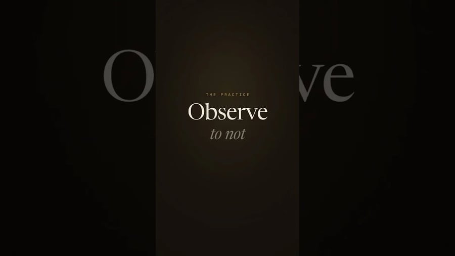 Observe to not preserve pain video by Lisa Watson